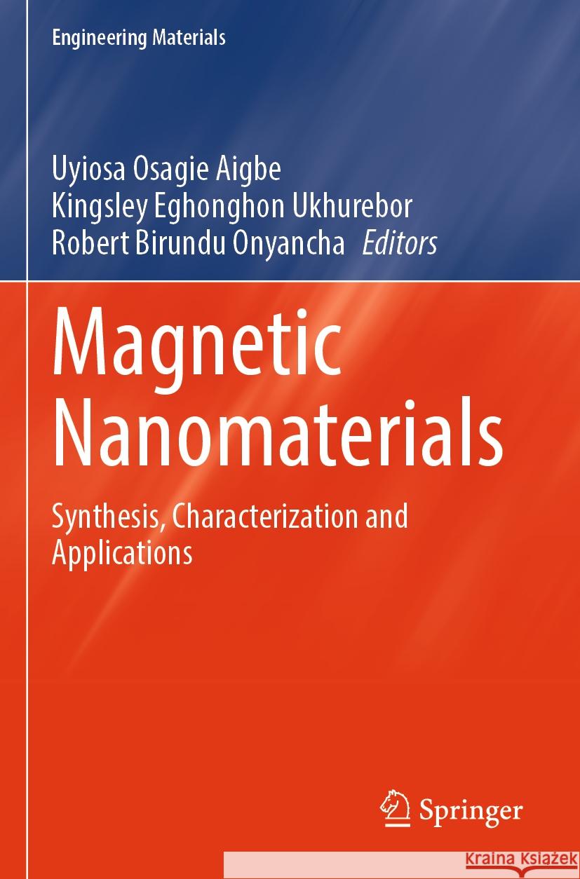 Magnetic Nanomaterials  9783031360909 Springer International Publishing - książka