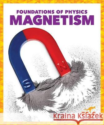 Magnetism Anita Nahta Amin 9781636900421 Pogo Books - książka