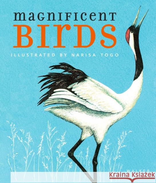 Magnificent Birds Narisa Togo 9781406393088 Walker Books Ltd - książka