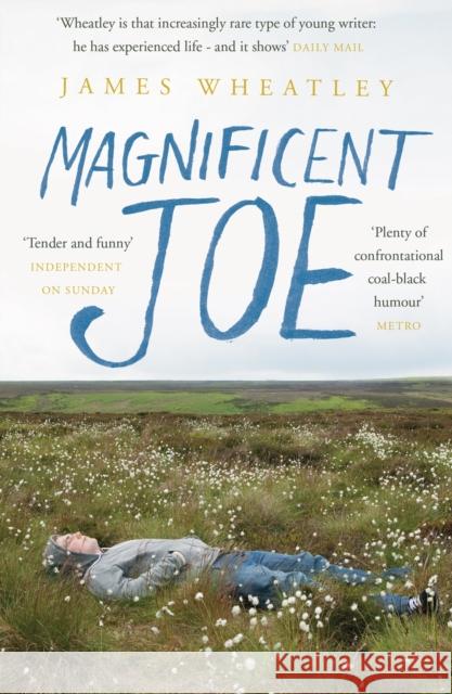 Magnificent Joe James Wheatley 9781780743691 Oneworld Publications - książka