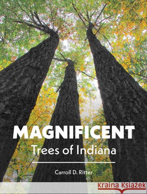 Magnificent Trees of Indiana Carroll D. Ritter 9781612497419 Purdue University Press - książka
