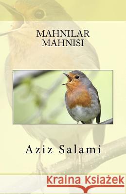 Mahnilar Mahnisi Aziz Salami 9781515145660 Createspace - książka