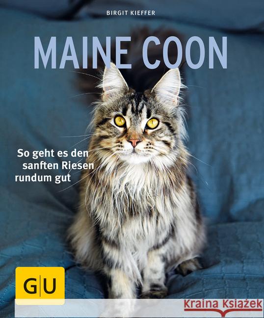 Maine Coon : So geht es den sanften Riesen rundum gut Kieffer, Birgit 9783833855153 Gräfe & Unzer - książka