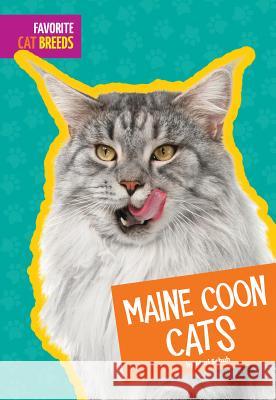Maine Coon Cats Mari C. Schuh 9781607539698 Amicus High Interest - książka