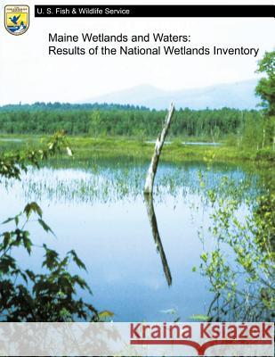 Maine Wetlands and Waters: Results of the National Wetlands Inventory U. S. Departm Fis 9781484857434 Createspace - książka