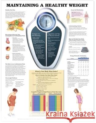 Maintaining A Healthy Weight  Anatomical Chart Company 9781587794094  - książka