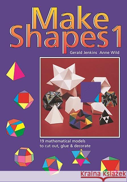 Make Shapes: Mathematical Models Gerald Jenkins Anne Wild 9780906212004 Tarquin - książka