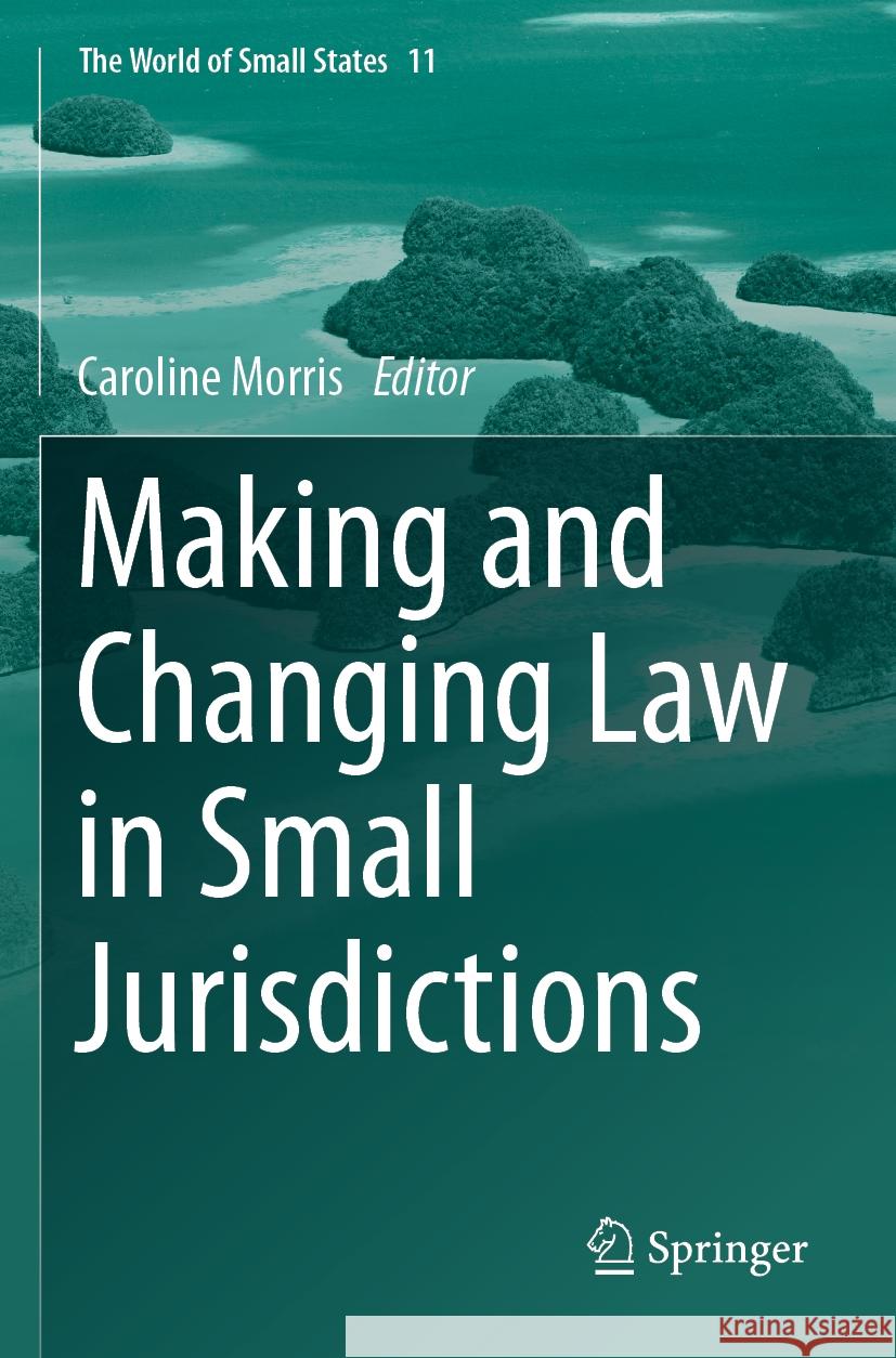 Making and Changing Law in Small Jurisdictions  9783031469459 Springer International Publishing - książka