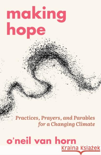 Making Hope O'neil Van Horn 9781626986404 Orbis Books - książka