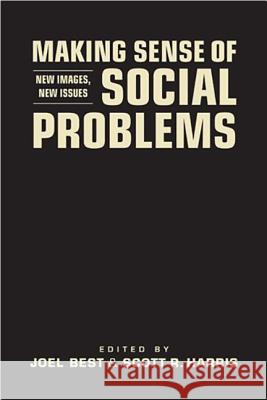 Making Sense of Social Problems: New Images, New Issues Joel Best Scott R. Harris  9781588268556 Lynne Rienner Publishers Inc - książka