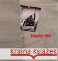 Malé lži Ian McFadyen 9788090798502 AllAboutBooks - książka