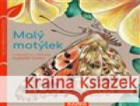 Malý motýlek Isabelle Simler 9788076700567 Nakladatelství Kazda - książka