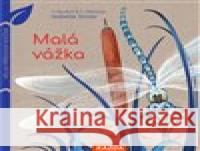 Malá vážka Isabelle Simler 9788076700581 Nakladatelství Kazda - książka