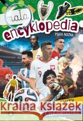 Mała encyklopedia. Piłka nożna Michał Wójcik 9788383980393 Skrzat - książka