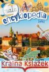 Mała encyklopedia. Zamki Wioleta Żyłowska 9788382077308 Skrzat