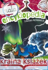 Mała encyklopedia. Zjawiska przyrodnicze Monika Ślizowska 9788383980379 Skrzat - książka