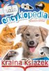 Mała encyklopedia. Zwierzęta domowe Monika Ślizowska 9788382075533 Skrzat