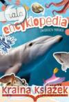 Mała encyklopedia. Zwierzęta morskie Monika Ślizowska 9788382075540 Skrzat