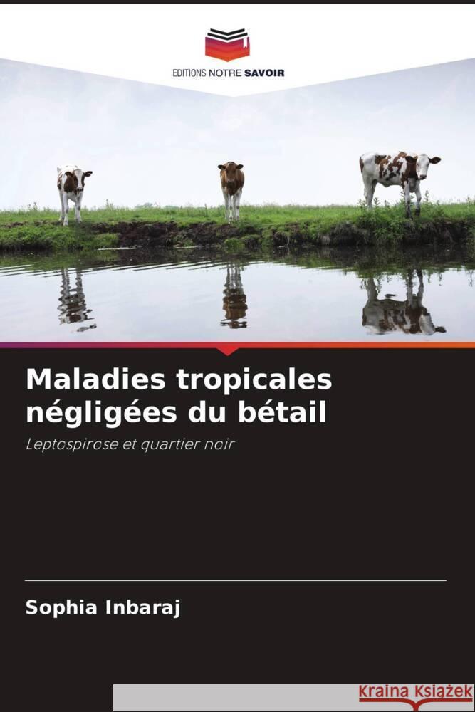 Maladies tropicales n?glig?es du b?tail Sophia Inbaraj 9786207014033 Editions Notre Savoir - książka