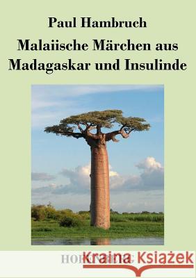 Malaiische Märchen aus Madagaskar und Insulinde Paul Hambruch 9783843046695 Hofenberg - książka