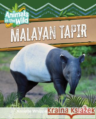 Malayan Tapir Annette Whipple 9781039874824 Crabtree Forest - książka