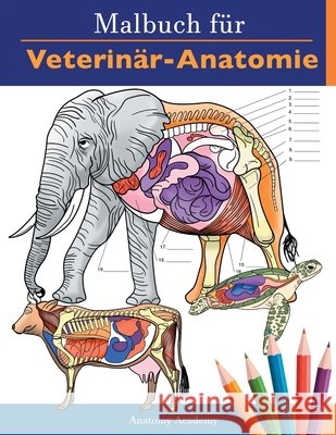 Malbuch für Veterinär-Anatomie: Tierphysiologie-Selbstquiz Arbeitsbuch zum Lernen und Entspannen Perfektes Geschenk für Tiermedizin-Studenten und soga Academy, Anatomy 9781838188672 Muze Publishing - książka