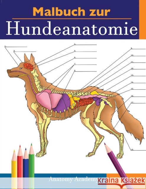 Malbuch zur Hundeanatomie: Unglaublich Detailliertes Arbeitsbuch über Hundeanatomie in Farbe zum Selbsttest Perfektes Geschenk für Tiermedizinstu Academy, Anatomy 9781914207242 Muze Publishing - książka