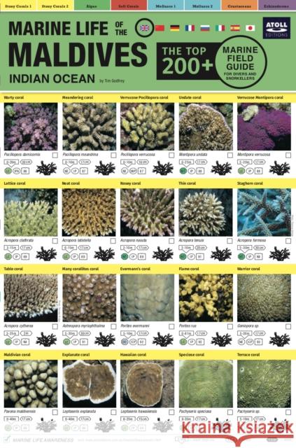 Maldives Marine Life Field Guide: 