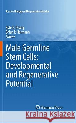 Male Germline Stem Cells: Developmental and Regenerative Potential Kyle E. Orwig Brian P. Hermann 9781617379727 Humana Press - książka