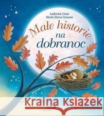 Małe historie na dobranoc Lodovica Cima, Maria Elena Gonano 9788381310062 Edycja Świętego Pawła - książka