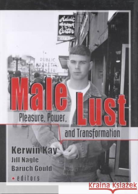 Male Lust: Pleasure, Power, and Transformation Brook, Kerwin 9781560239819 Harrington Park Press - książka