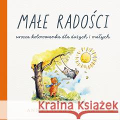 Małe radości Anna-Laura Sullivan 9788368381931 Luna - książka