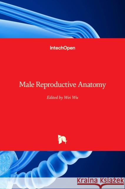 Male Reproductive Anatomy Wei Wu 9781839685248 Intechopen - książka