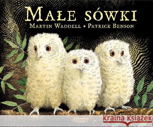 Małe sówki Waddell Martin 9788366117952 Mamania - książka