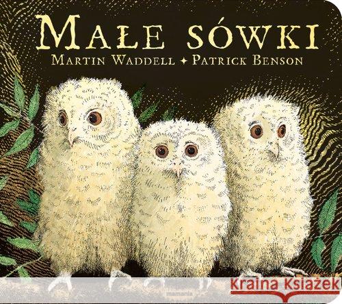 Małe sówki Waddell Martin 9788366750098 Mamania - książka