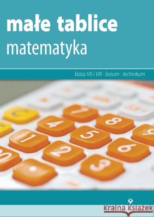 Małe tablice. Matematyka w.2019 ADAMANTAN Mizerski Witold 9788373504691 Adamantan - książka