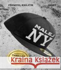 Malej NY Přemysl Krejčík 9788075779649 Host - książka