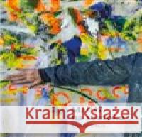 Malíři na soutoku Radek Gális 9788027083336 Měsíc ve dne - książka