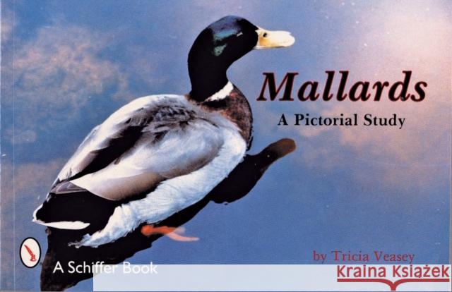Mallards: A Pictorial Study Tricia Veasey 9780887401169 Schiffer Publishing - książka