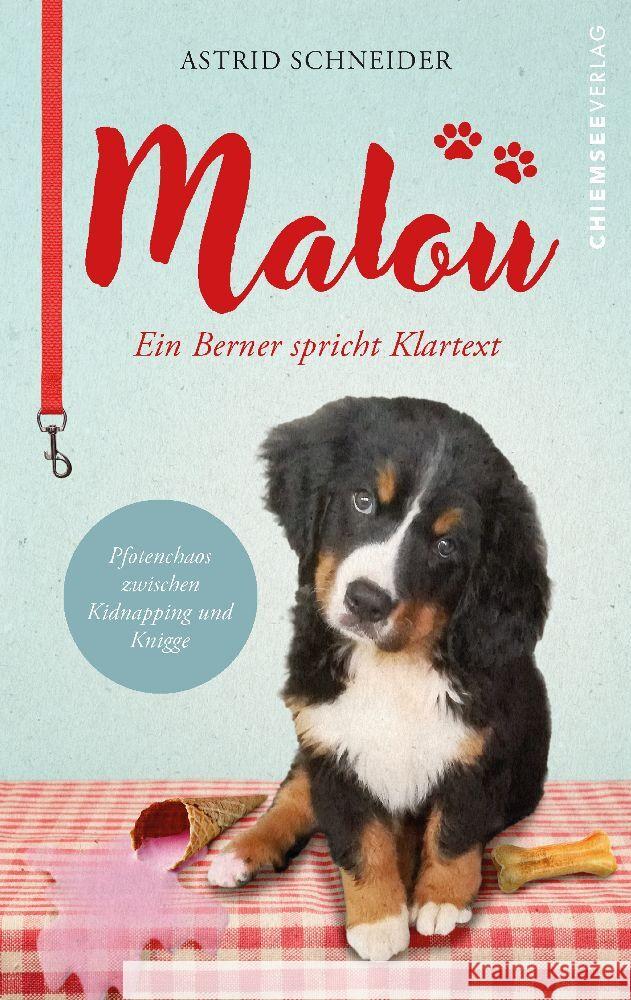 Malou - ein Berner spricht Klartext Schneider, Astrid 9783988652416 Chiemsee Verlag - książka