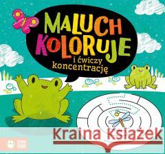 Maluch koloruje i ćwiczy koncentrację Natalia Berlik 9788382406047 Zielona Sowa - książka