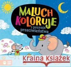 Maluch koloruje i poznaje przeciwieństwa Natalia Berlik 9788382408713 Zielona Sowa - książka