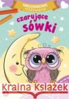 Maluszkowe malowanie. Czarujące sówki praca zbiorowa 9788382074246 Skrzat