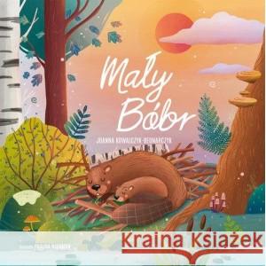 Mały Bóbr KOWALCZYK-BEDNARCZYK JOANNA 9788362238705 STUDIO KOLORU - książka