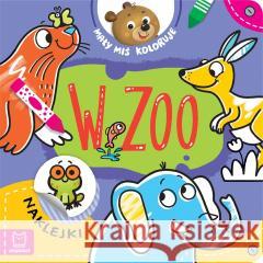 Mały miś koloruje. W zoo Agnieszka Bator 9788382137156 Aksjomat - książka