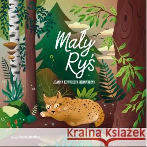 Mały Ryś KOWALCZYK-BEDNARCZYK JOANNA 9788362238620 STUDIO KOLORU - książka