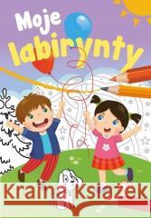 Mały uczeń. Moje labirynty Zofia Zabrzeska 9788382070095 Skrzat - książka