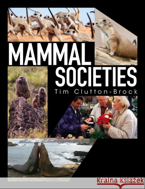 Mammal Societies T. H. Clutton-Brock Tim Clutton-Brock 9781119095323 John Wiley and Sons Ltd - książka