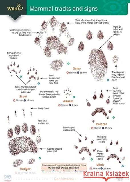 Mammal tracks and signs Dan Puplett 9781908819864 Field Studies Council - książka