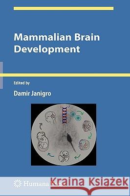 Mammalian Brain Development Damir Janigro 9781607612865 Humana Press - książka